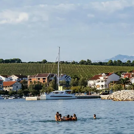 Dedic * 佩特坎内