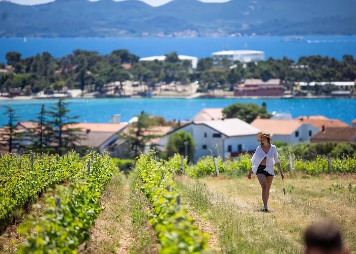 Апартаменты Dedic *