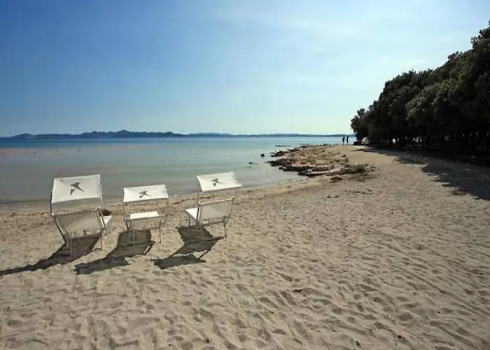 Dedic Апартаменты *