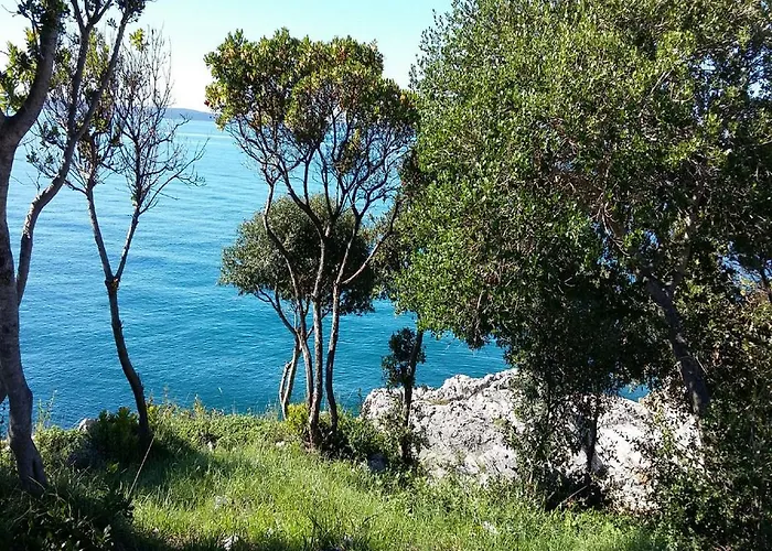 Апартаменты Dedic *