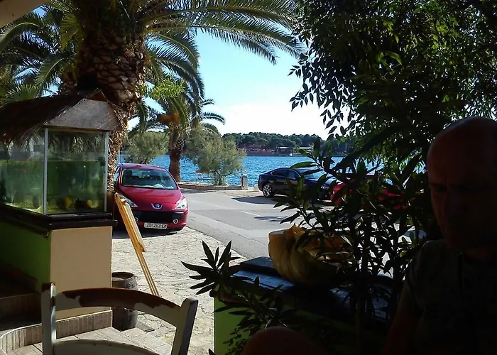 Dedic Петрчане