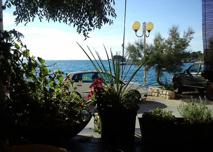 Dedic Петрчане